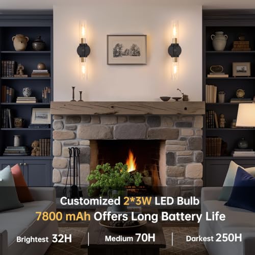 Set of 2 Modern Wall Sconces with Glass Shade
