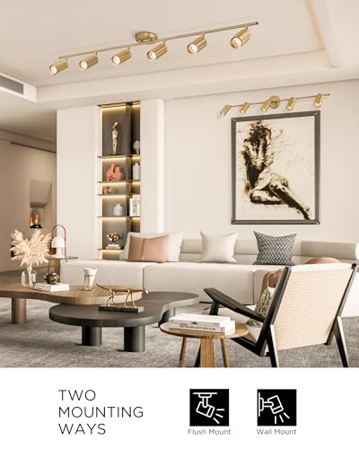 53" Track Lighting Fixtures Ceiling (Kaleidoscope, Brushed Gold / 53", 6-light)