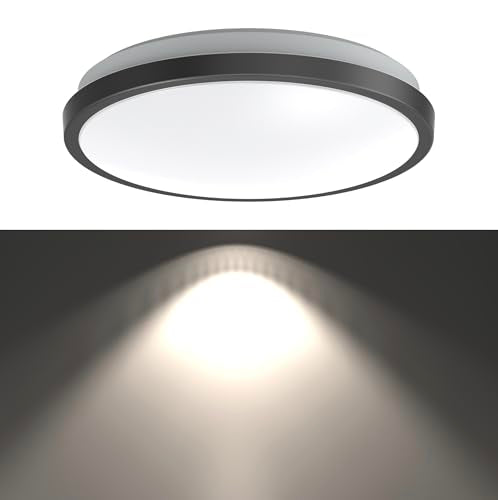LED Ceiling Light Flush Mount 10 Inches