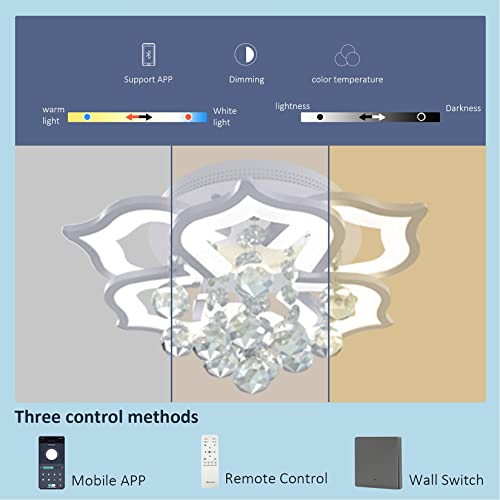 Crystal Flower Ceiling Light (06 HEAD / 06 HEAD)