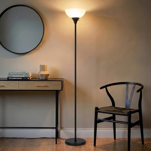 Sky Dome Dimmable LED Floor Lamp (Jet Black)