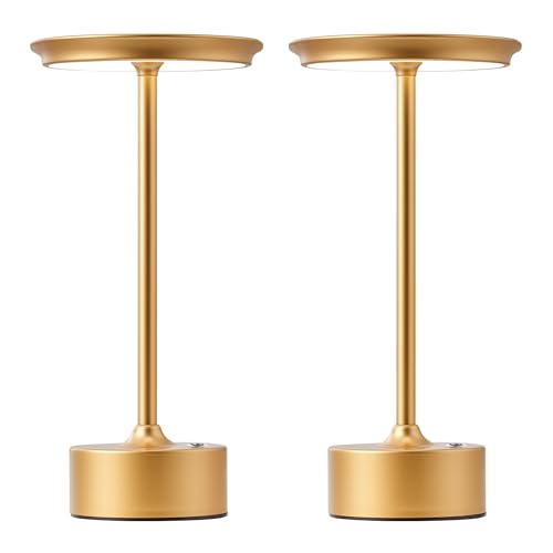 Rechargeable Table Lamps Set of 2