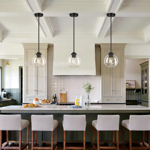 2 Pack Globe Pendant Lights (Matte Black + Clear Glass 2 Pack)