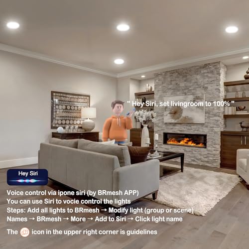 Smart Recessed Lighting 6 Inch Compatible with Alexa & Siri
