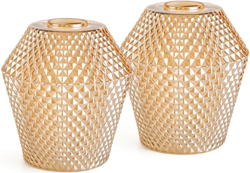 2Pcs Small Glass Lamp Shades