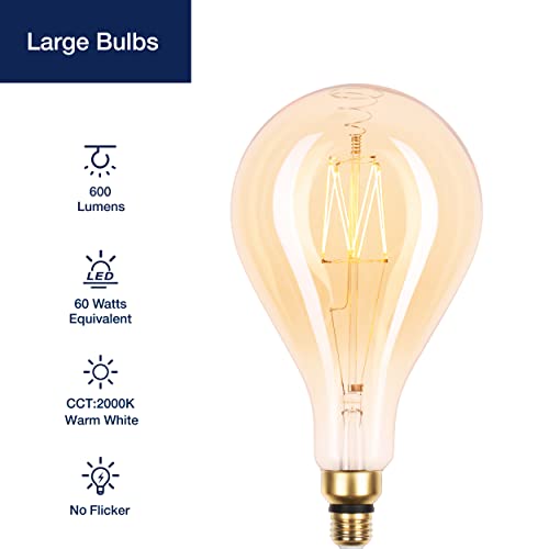 Oversized LED Edison Bulb