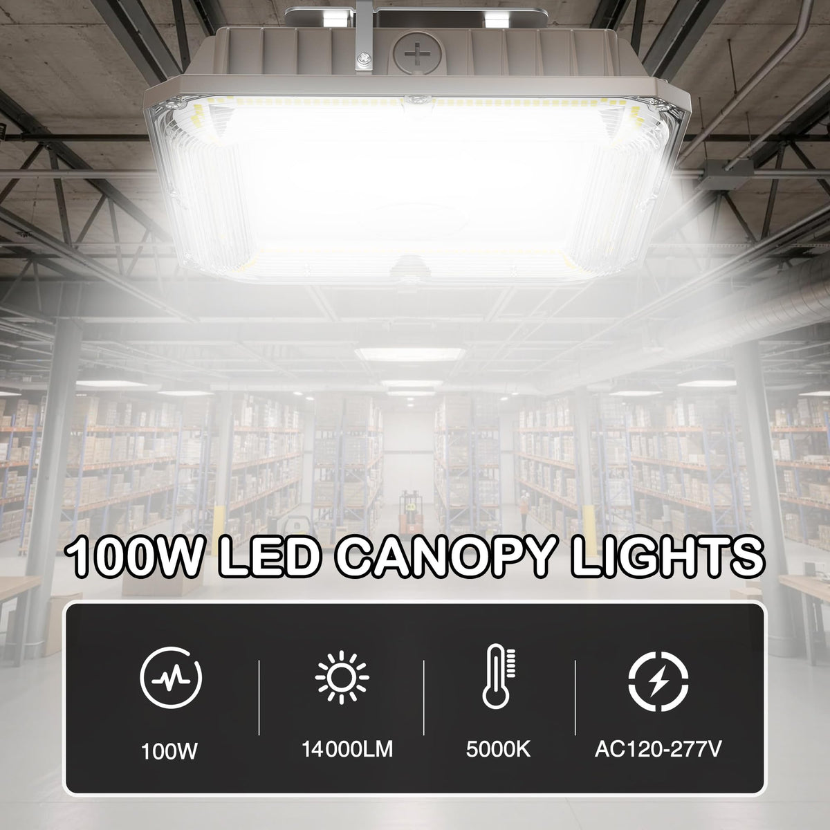 LED Canopy Lights (100W 4Pack)