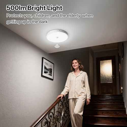 12000mAh Rechargeable Ceiling Light (White-6500K / 12000mAh)