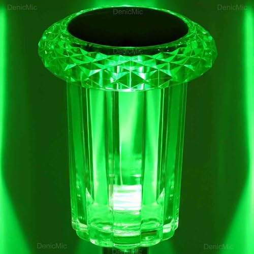 Solar Lights Outdoor Pathway Lights LED Waterproof Acrylic Lamp Head Stainless Steel Stake for Yard Garden Landscape Path Walkway Driveway Patio Lawn