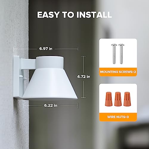 2 Pack LED Outdoor White Front Porch Lights (C-White)