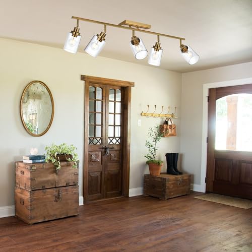 5 Light Track Lighting Kit Brass with 5 Rotatable Light Heads (Brass / 5-Light)