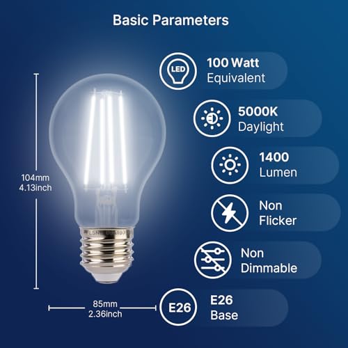 Dusk to Dawn Outdoor Sensor A19 LED Light Bulb (100w Daylight / 4 Count (Pack of 1))