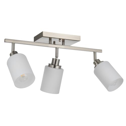 Track Lighting Fixtures Ceiling (Brushed Nickel / 3-Lights)