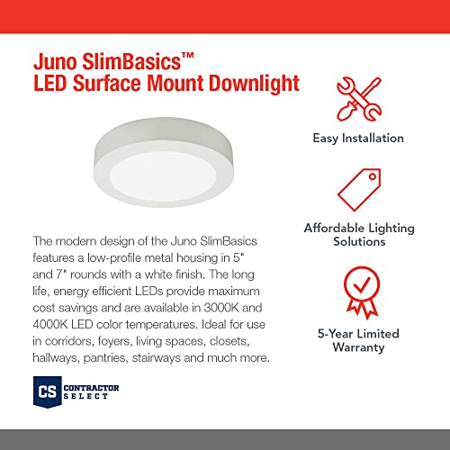 Slim Basics LED Ceiling Light