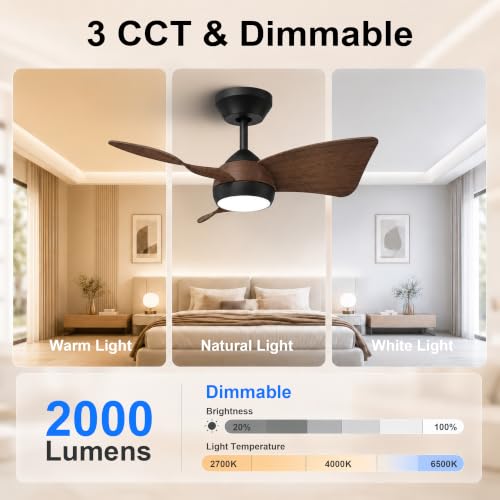 30 Inch Small Ceiling Fan with Light (Black & Walnut / 30 Inch)