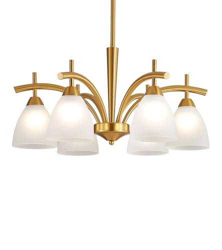 Dining Room Light Fixture