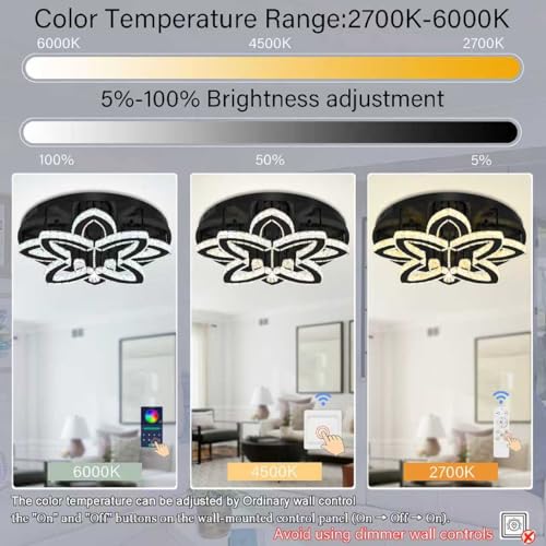Large Chandelier