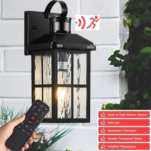 Porch Lights Outdoor with Remote (1 Black RW)