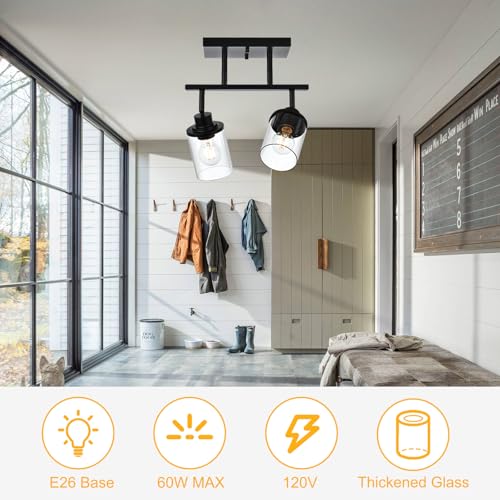 2 Light Kitchen Track Light Fixtures Ceiling Vanity Lights Black (Black / 2 Light)