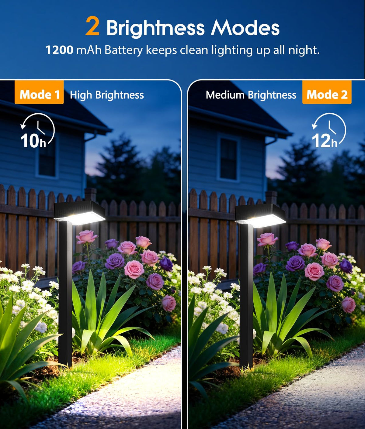Solar Pathway Lights Outdoor (Cool White / 12 Pack)