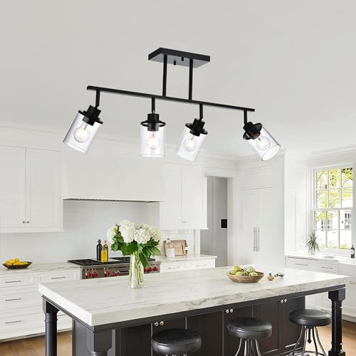 4 Lights Ceiling Light Fixtures with Flexibly Rotatable Light Head Black Bathroom Lights Modern Complete Track Lighting Kits with Clear Glass Shade (Black / 4-Light)