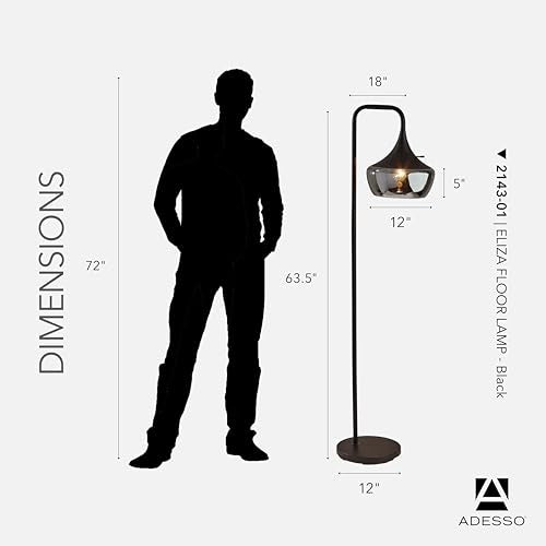 Floor Lamp Black & Smoked Glass Dome (Black / Floor Lamp)