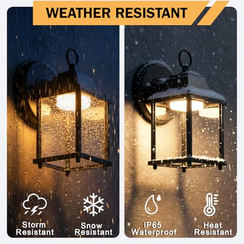 Outdoor Wall Light Fixture (3000K Black / 2-pack)