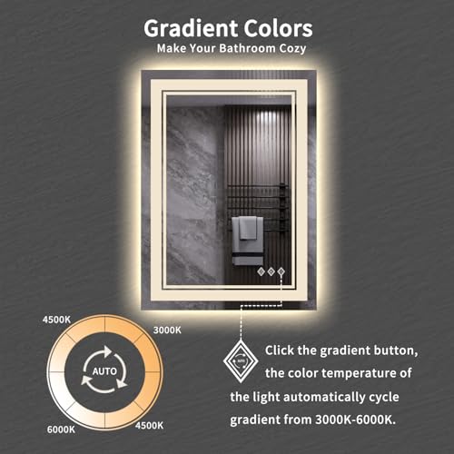 LED Mirror Vanity Mirror with Lights FT007