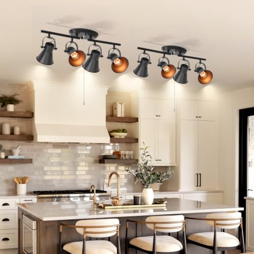 4 Light Black Track Lighting with Pull Chain (4-Light / Black Pull Chain)