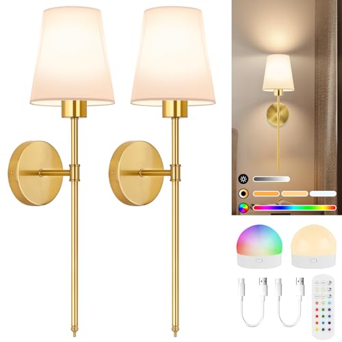 Wall Sconce Light
