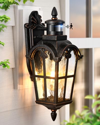 Outdoor Motion Sensor Light (Oil-Rubbed Bronze / 1-pack)