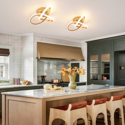 Modern LED Ceiling Light Gold Dimmable Hallway Ceiling Light (Gold, Dimmable)