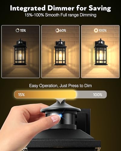 Motion Sensor Outdoor Wall Light (Black / Motion Sensor-1 Pack)