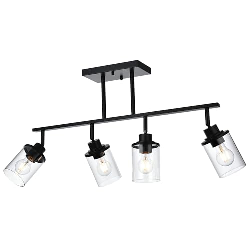 4 Lights Ceiling Light Fixtures with Flexibly Rotatable Light Head Black Bathroom Lights Modern Complete Track Lighting Kits with Clear Glass Shade (Black / 4-Light)