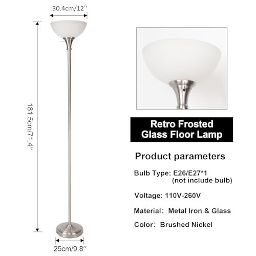 Floor Lamp Frosted White Glass Bowl Shade (Bowl Shade Lamp-Brushed Nickel)
