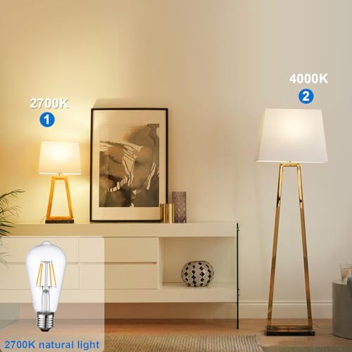 Vintage LED Edison Bulb (St58-clear Glass 2700k / 6 Count (Pack of 1))