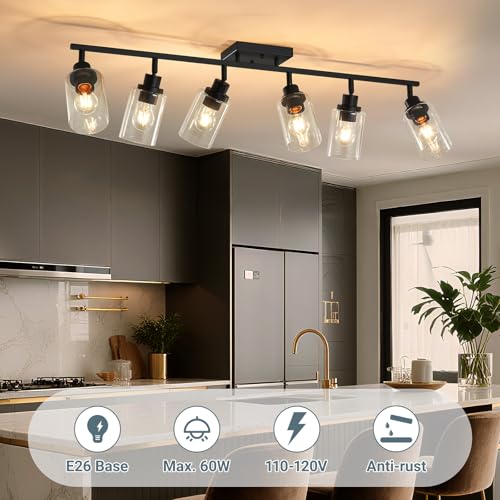 6 Light Kitchen Track Light Fixtures Ceiling Vanity Lights Black (Black / 6-Light)