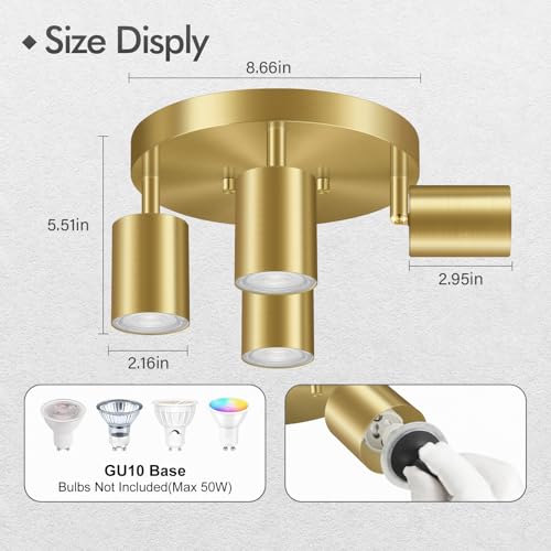 LED 4 Light Track Lighting Kit (4 Light-Gold)