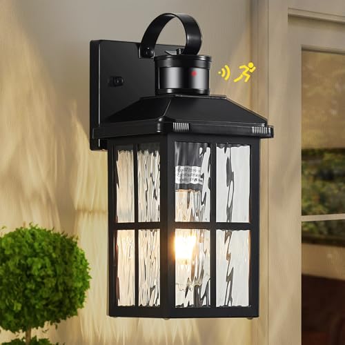 Motion Sensor Porch Light Dusk to Dawn Outdoor Wall Light (Black)