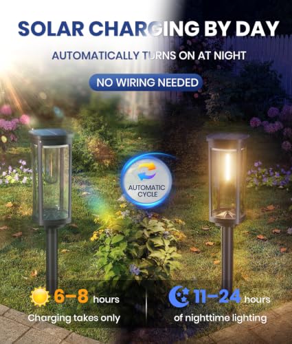Outdoor Solar Lights