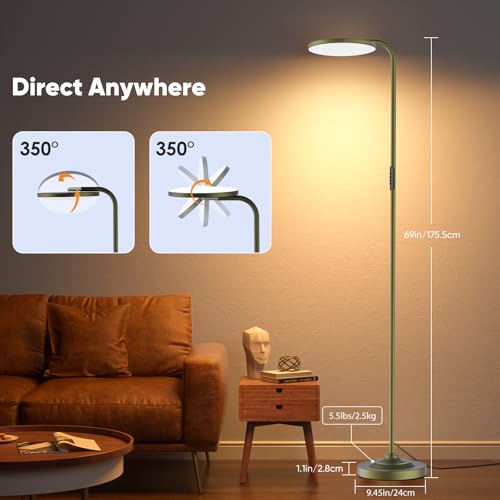 36W LED Floor Lamp (Bronze)