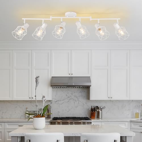 Track Lighting Fixtures (White / 6-Light-Cage)