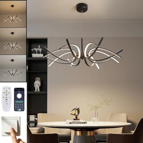 Modern LED Ceiling Light Fixture