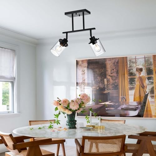 2 Light Kitchen Track Light Fixtures Ceiling Vanity Lights Black (Black / 2 Light)