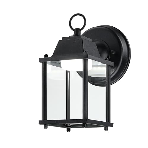 Outdoor Wall Light Fixture (5000K Black / 1-pack)