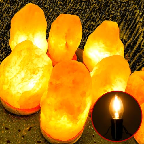 6 Pcs Lights Accessory Cord with LED Light Bulb (Brown)