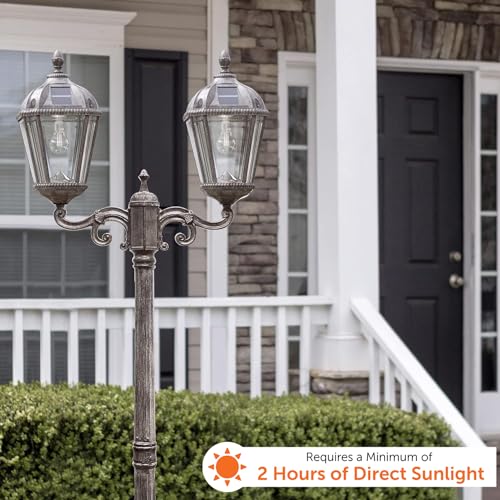 Outdoor Solar Lamp Post Light Kit (Double Lamp and Post / Weathered Bronze)