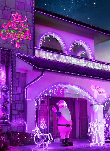 39FT 100LED Halloween Solar Rope Lights (Purple / 100 LED)