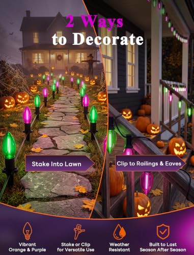 19.5FT Halloween Pathway Lights (C9 green/purple path light)