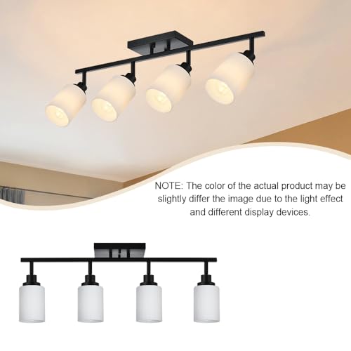 Adjustable Ceiling Spotlight in Black (Black / 4-Lights)
